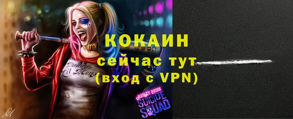 тгк Новокубанск