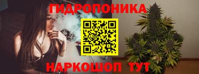 spice Бийск