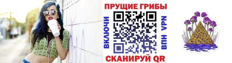 Галлюциногенные грибы Psilocybine cubensis  Дзержинск 